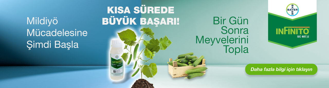 Sivanto SL 200 – Örtü Altı Sebzede Beyazsinek Mücadelesi