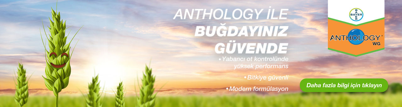 Anthology WG – Buğdayda Yabancı Ot Mücadelesi