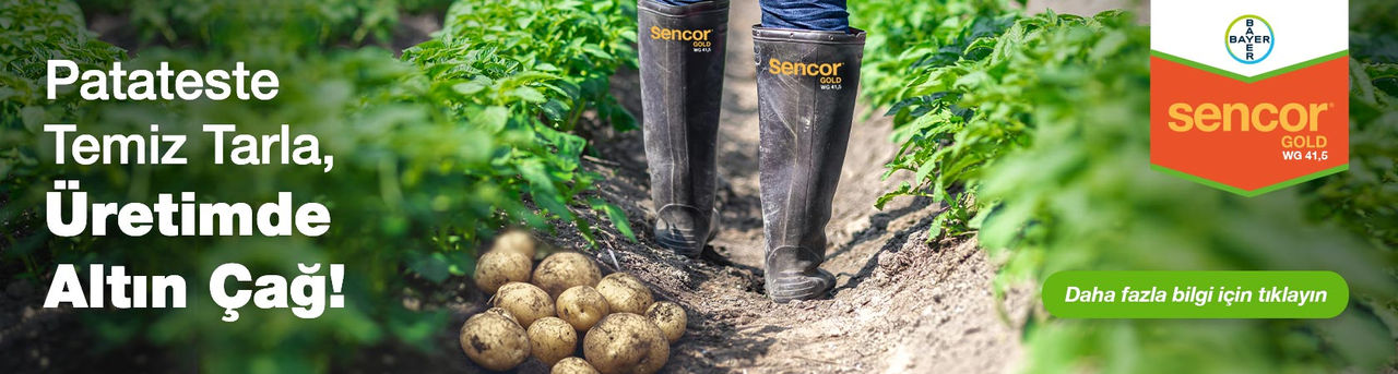 Sencor Gold WG 41,5 – Patateste Yabancı Ot Mücadelesi