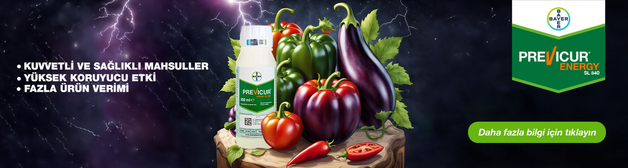 Previcur Energy SL 840 – Örtü Altı Sebzede Mildiyö Mücadelesi