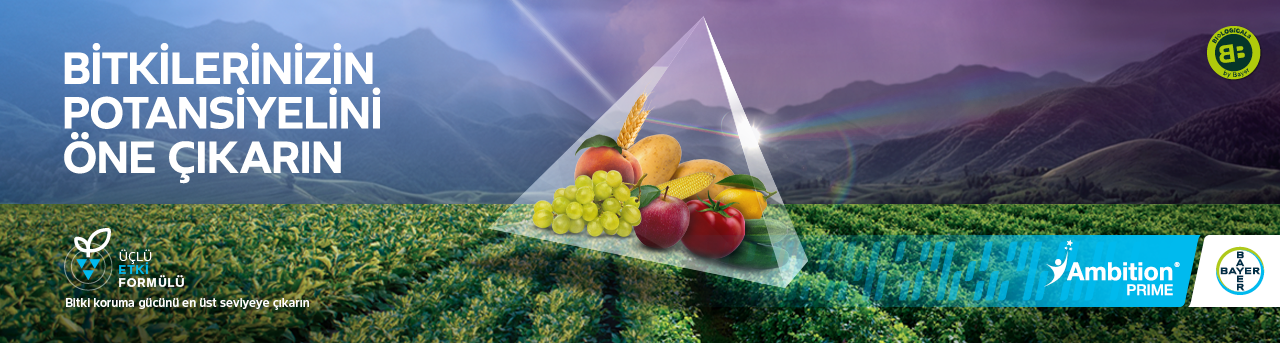 Bitkilerinizin potansiyelini öne çıkarın