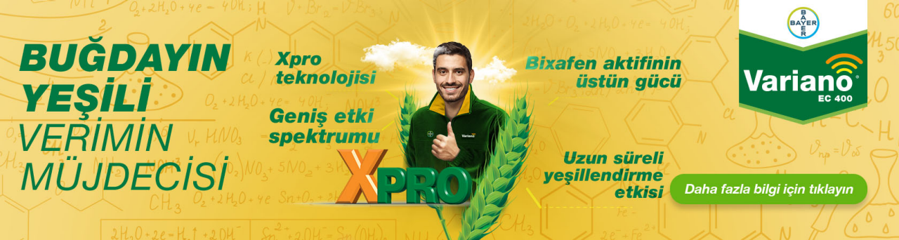 Variano EC 400 – Buğdayda Hastalık Mücadelesi