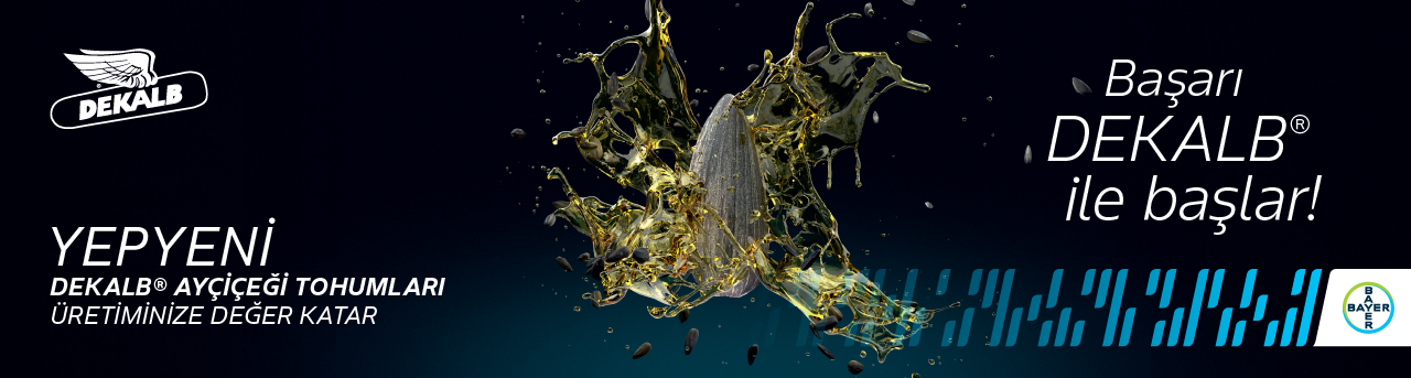 DEKALB® Ayçiçeği Tohumları