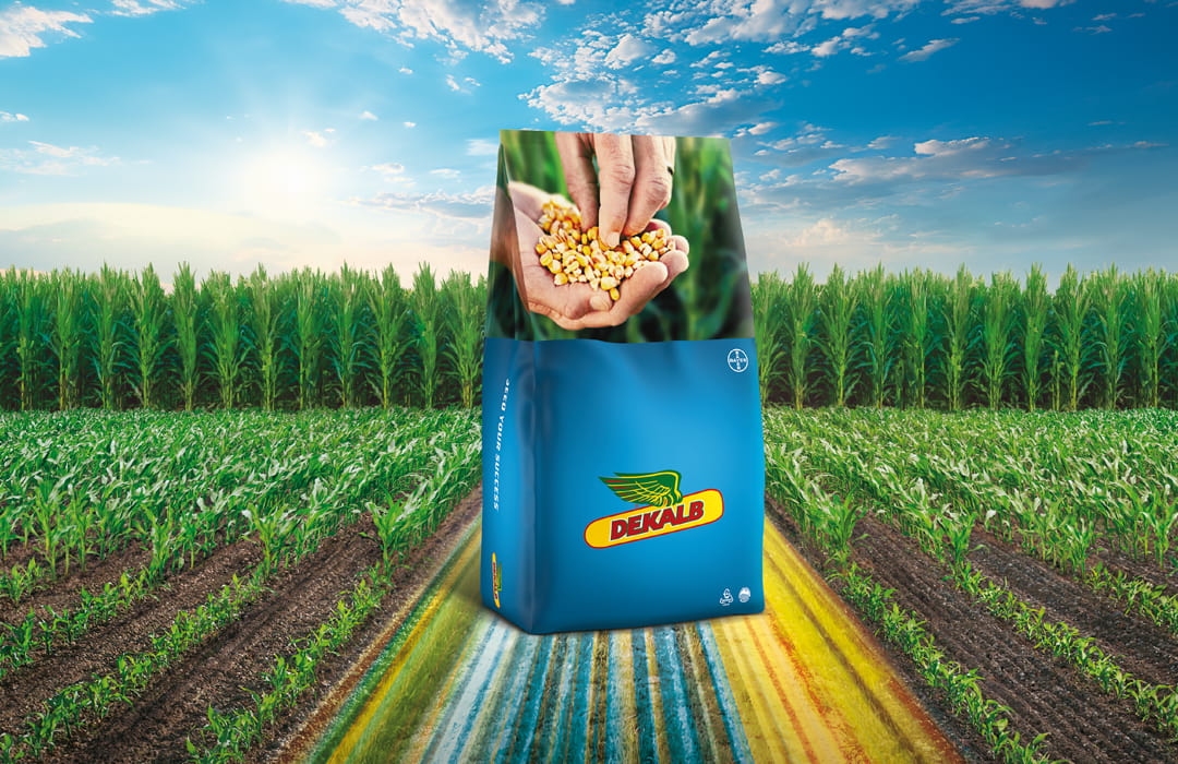 Rüzgarla aşınan toprak.