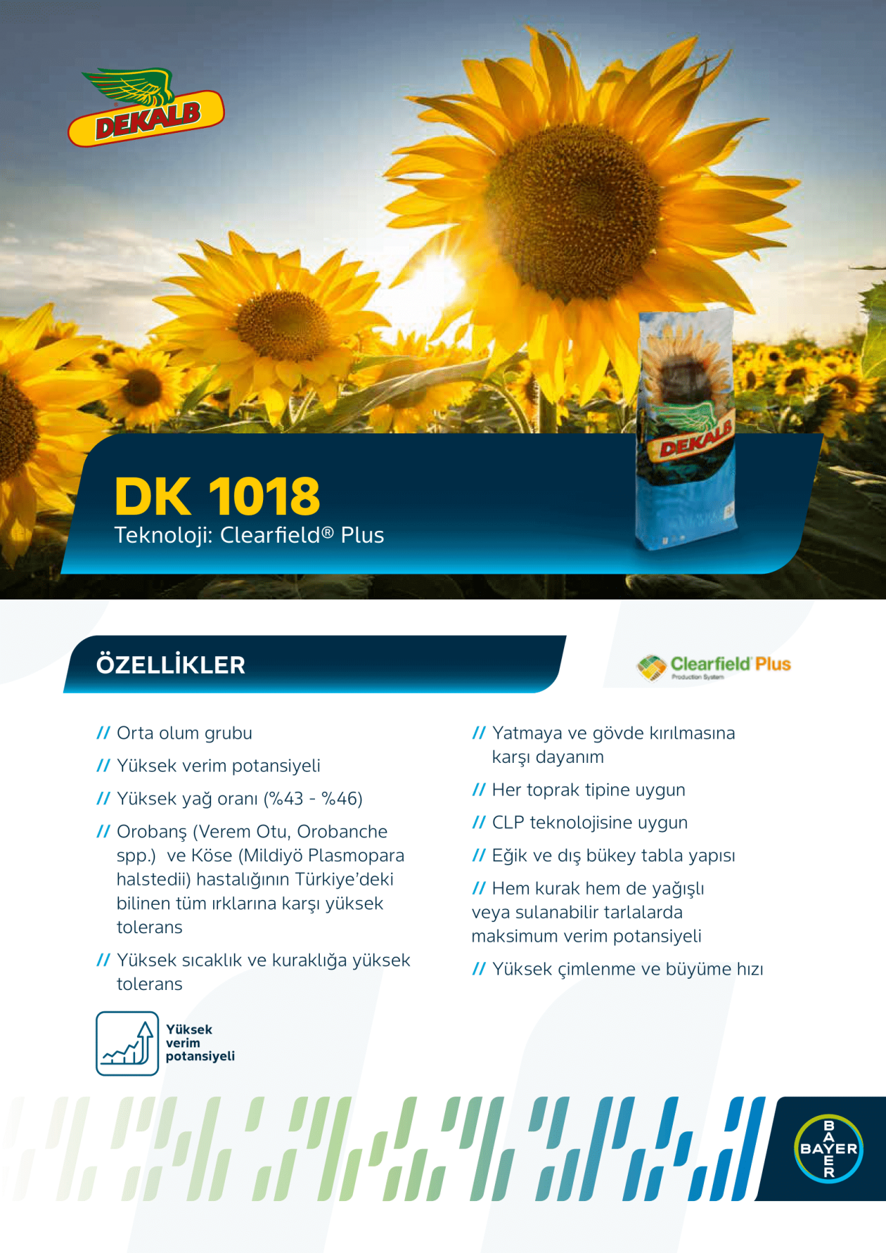 DK 1018