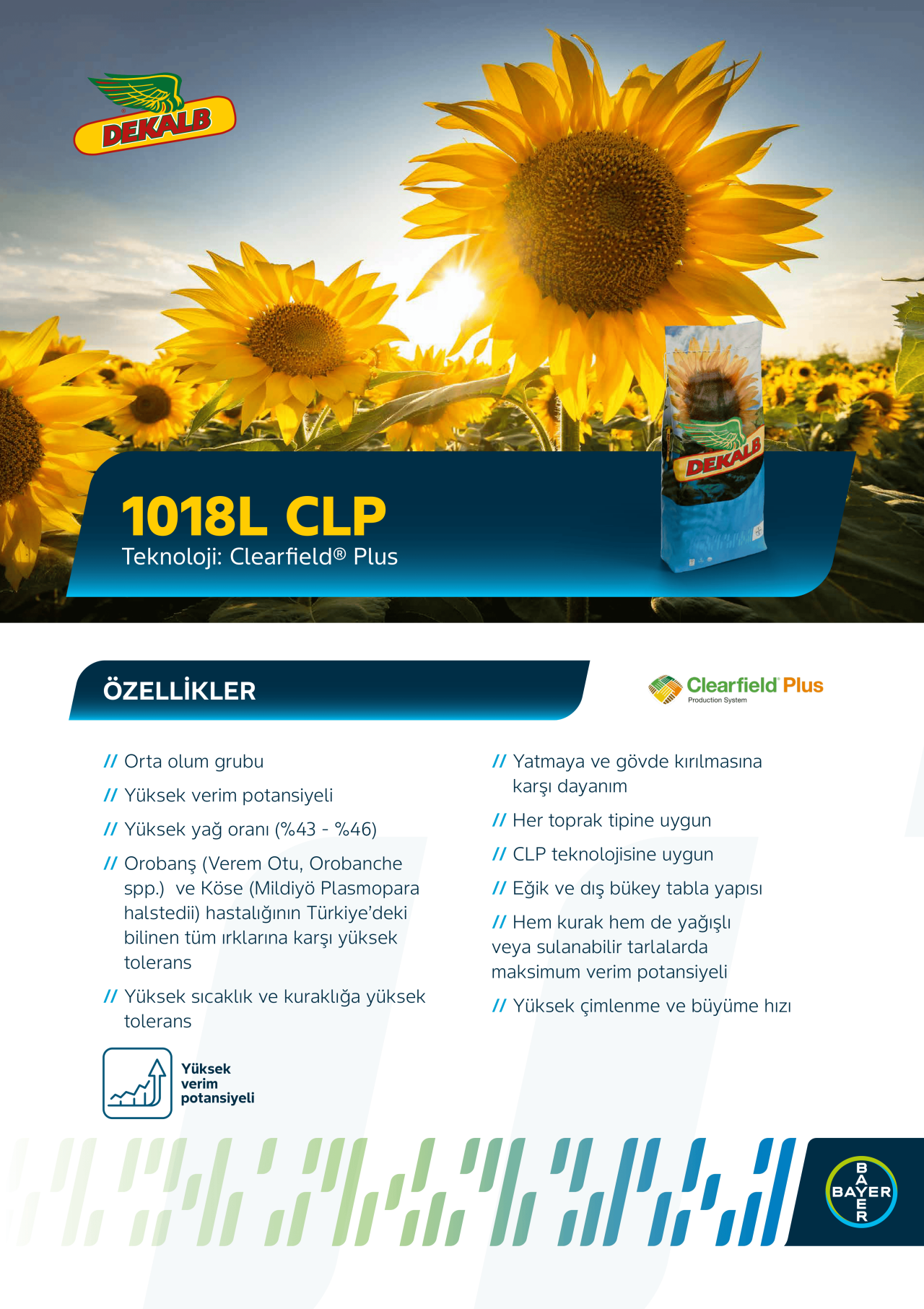 1018L CLP