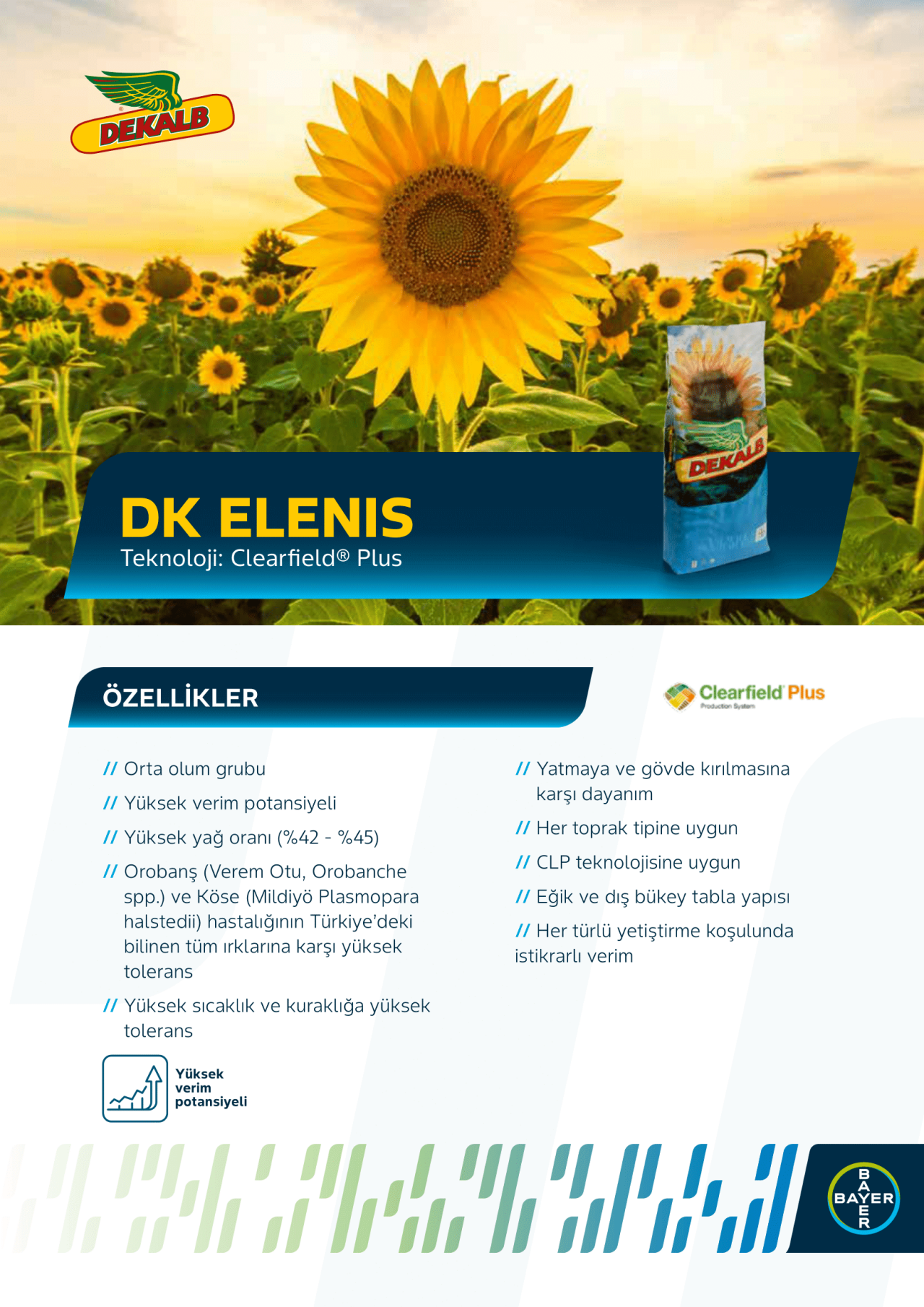 DK ELENIS